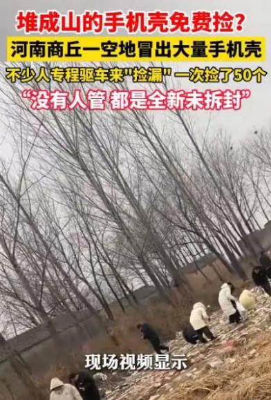 “解释不清了！”近日，河南一男子在郊区散步时，突然发现不远处一处洼地里，竟然堆满