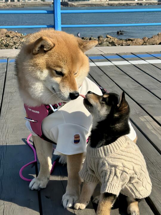 这就是宿命感吗