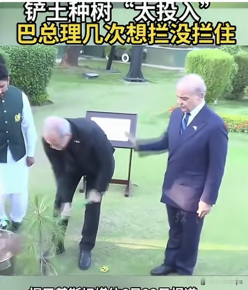 据巴基斯坦媒体6月23日报道，伊朗总统佩泽希齐扬在访问伊斯兰堡期间，在当地种下一