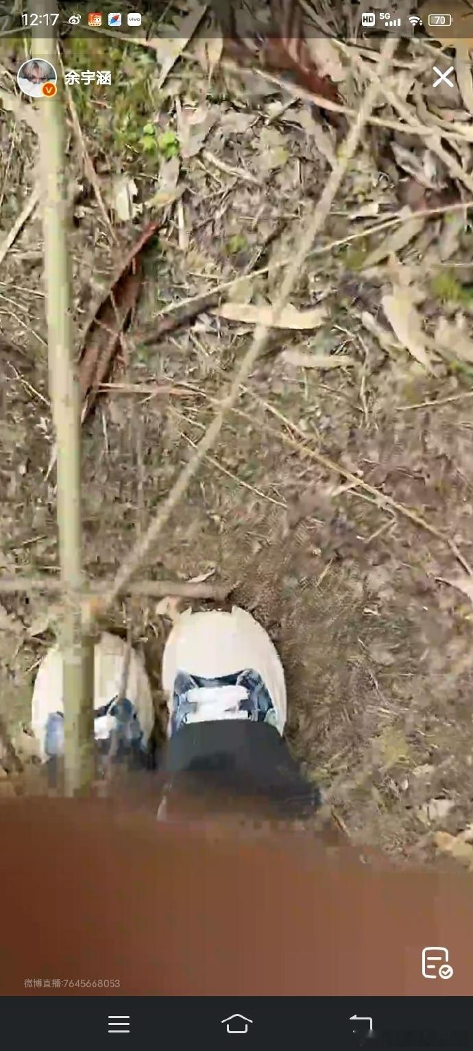 余宇涵带粉丝上山了 余宇涵带粉丝上山的创意直播，打破常规套路，看完只想说太会玩了