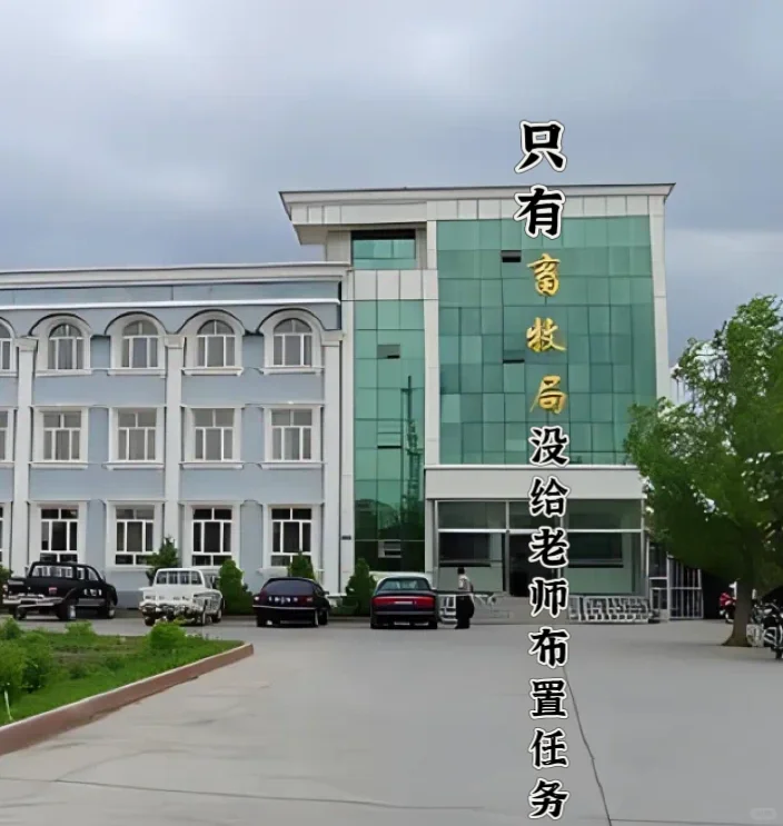 他说：只剩畜牧局没给老师布置作业了