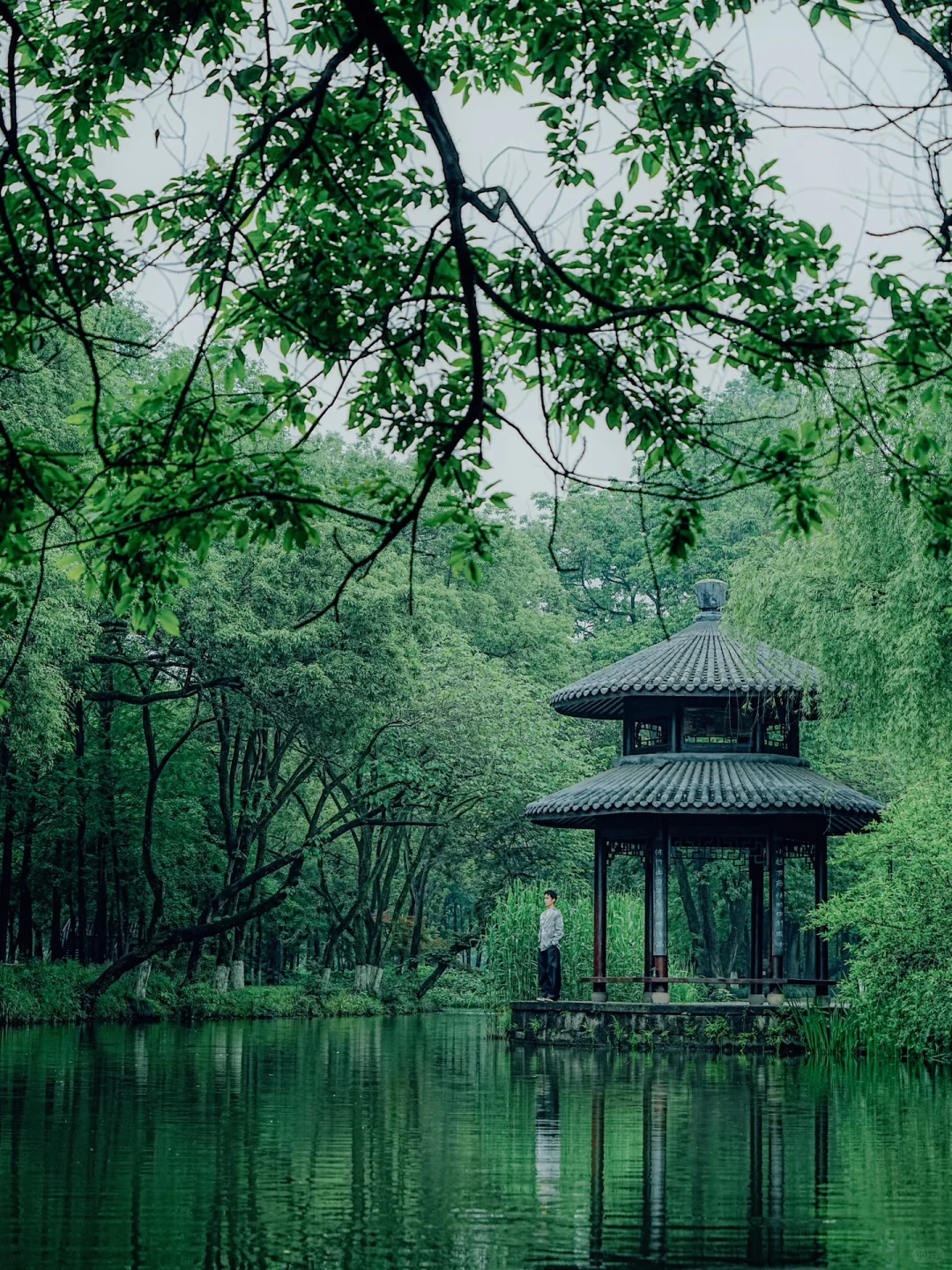 西湖私藏lakewalk路线分享，满满绿色能量☘️