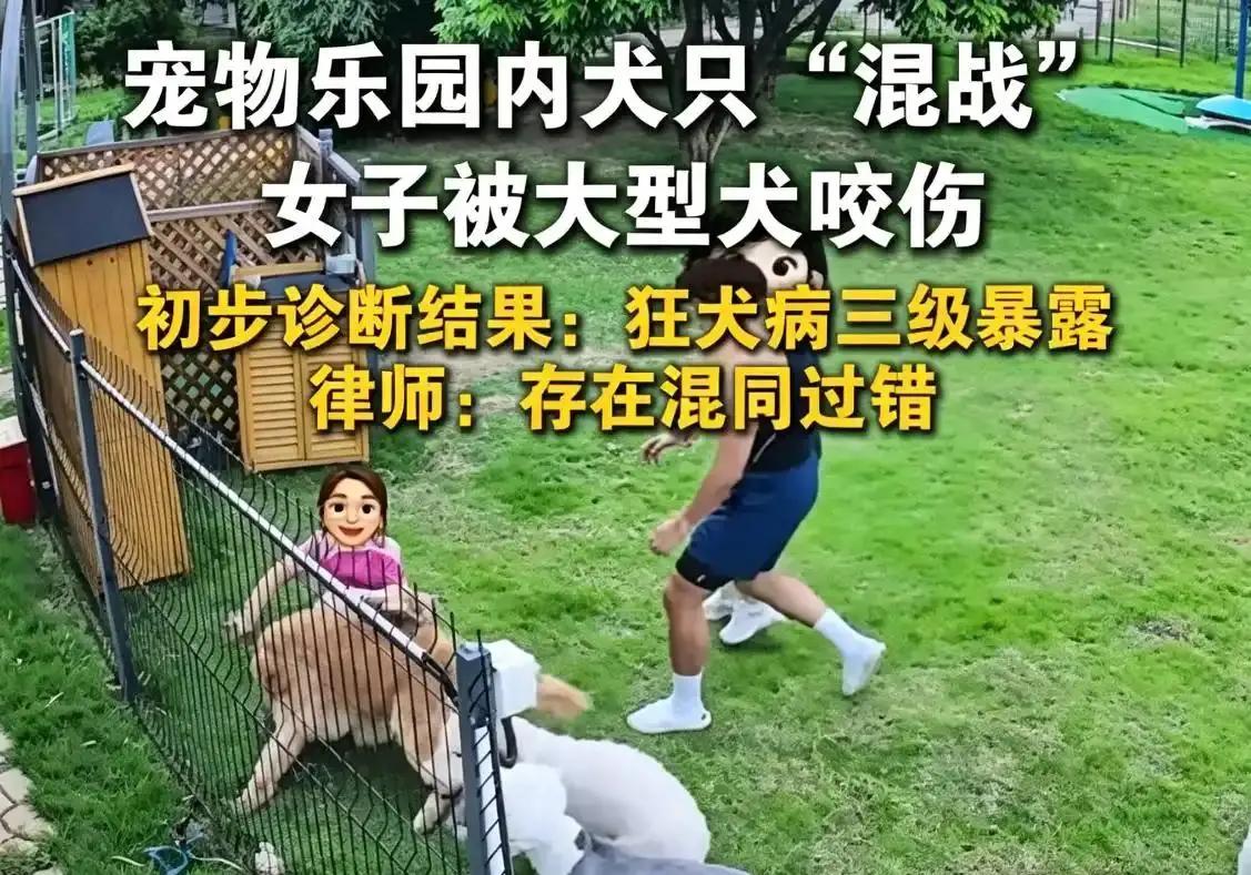 “让人无比愤怒！”广东深圳一名女子去宠物乐园悠闲玩耍，却无辜被一只失控的金毛狠狠