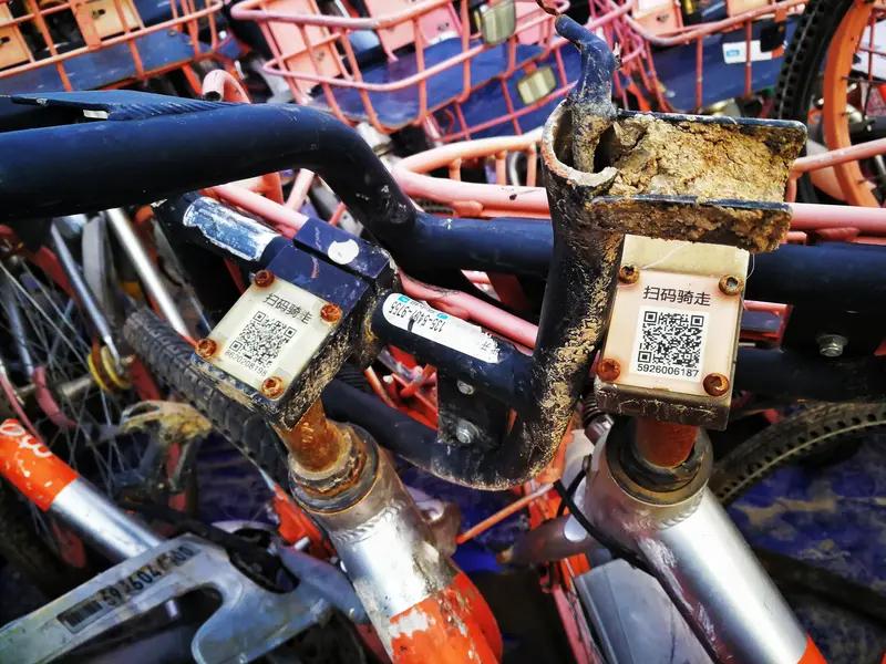 一夜白头 22岁小伙到底经历了什么？河南洛阳，一个00后小伙扫了共享单车上的低俗