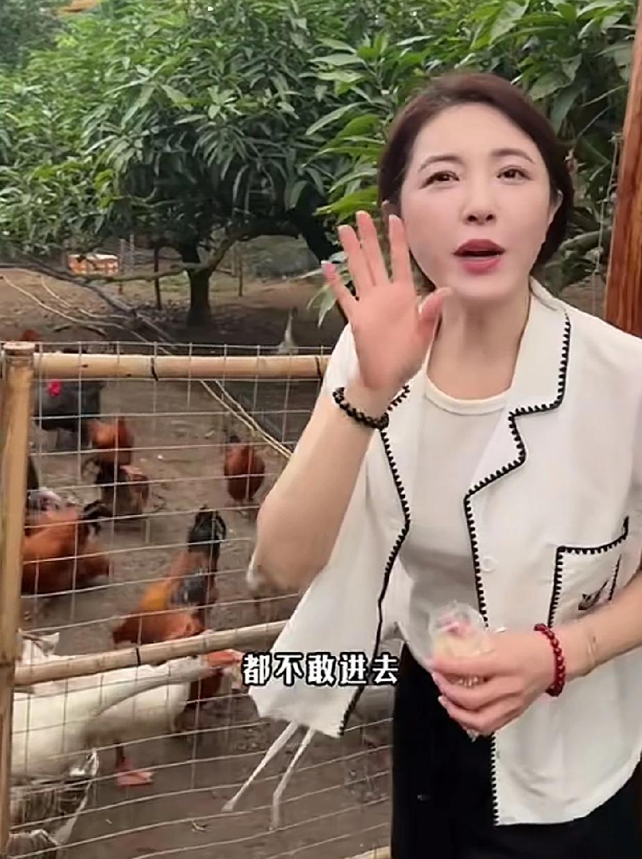 女演员曾黎这是半退圈了吗？回湖北老家不是在逛菜园子就是在喂鸡喂鹅，日子也太潇洒惬