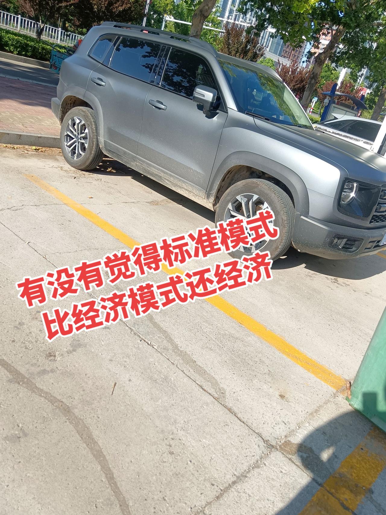 我开大狗感觉标准模式要比经济模式省油，你们觉得呢？