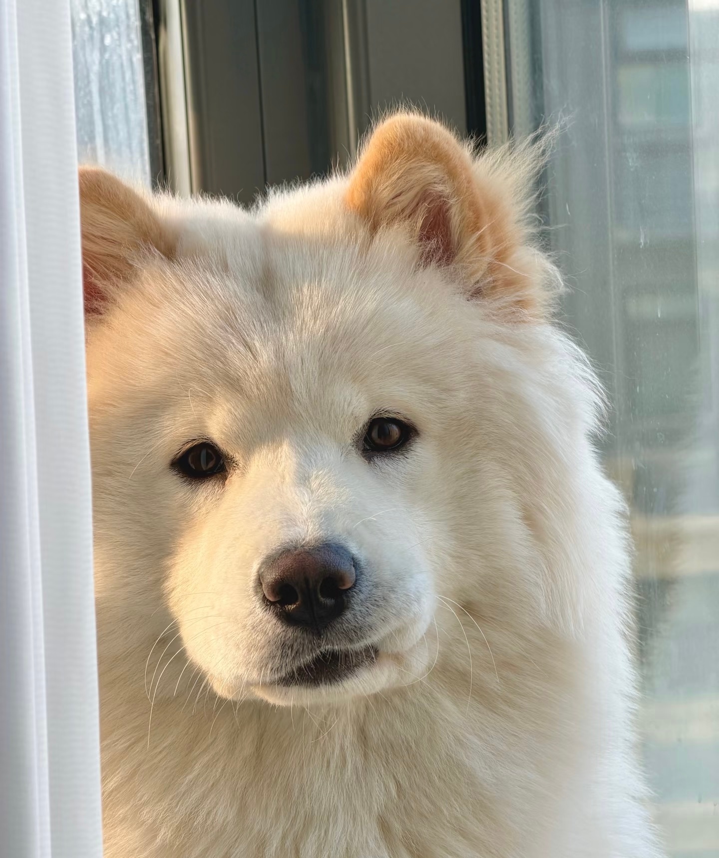 你好，我可以来蹭饭嘛 