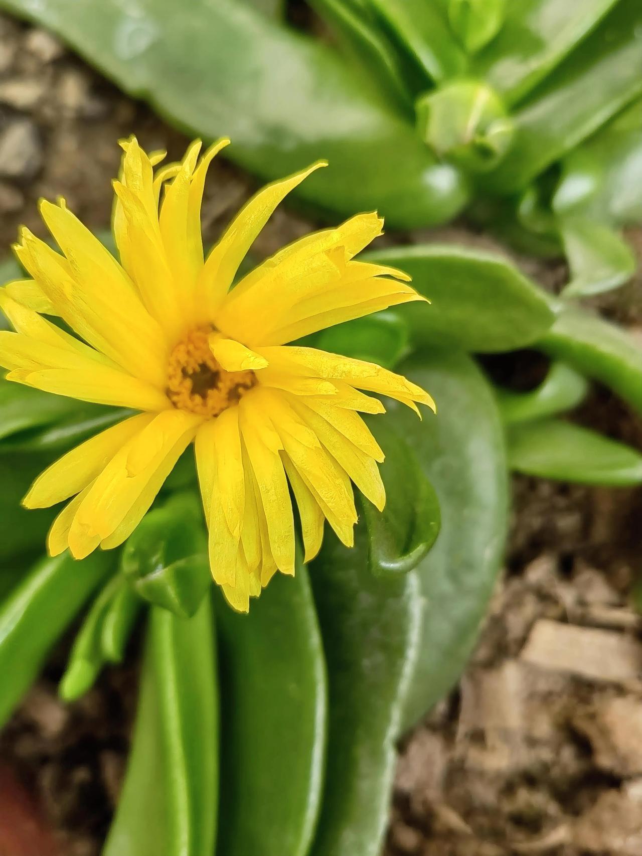 头条上的朋友们，你们的眼睛还好吗？
自从“热恋”上头条，闲暇时间都用在了头条上！