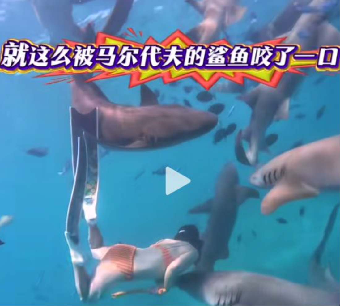 【女子马尔代夫潜水被鲨鱼咬伤：当时正处于生理期，被咬也可能是佩戴银色手链】近日，