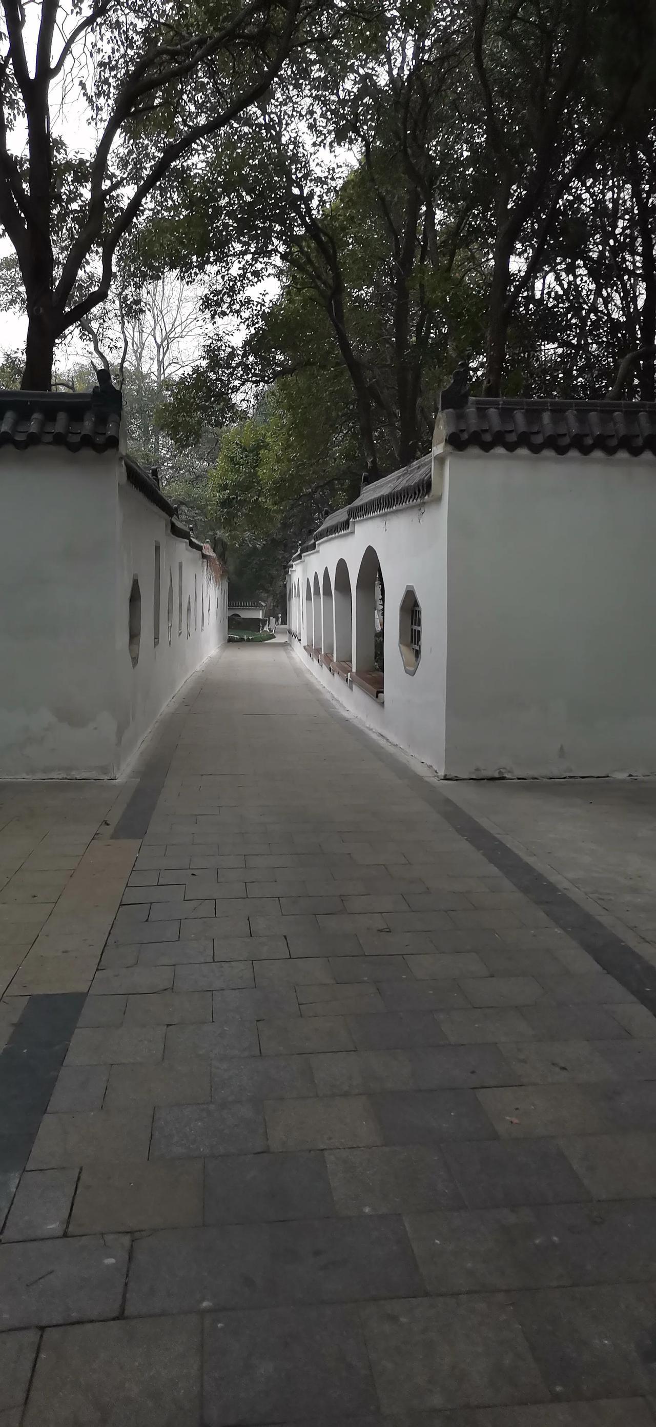 生活随手拍一拍