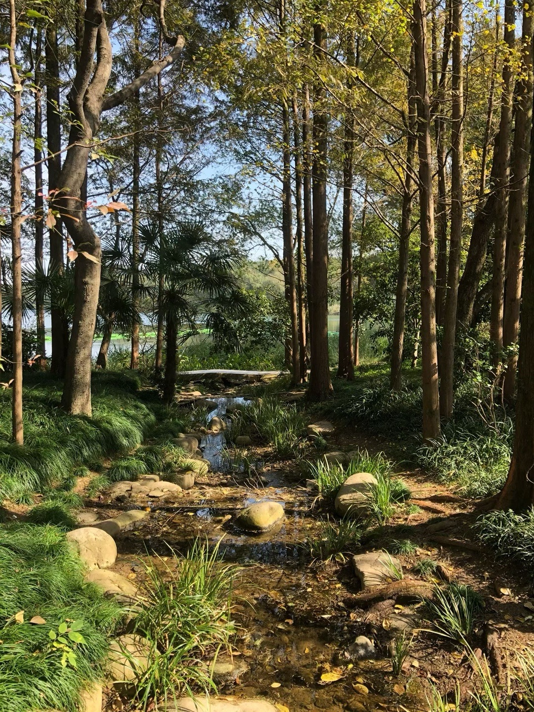 时光很匆忙，别错过落日和夕阳🌇 