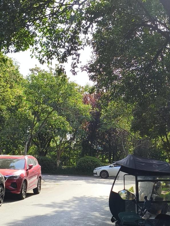 但空调一开，温度降了，蚊子是“冷血动物”，新陈代谢变慢，活动量锐减，直接“躺平”