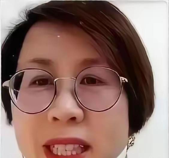 北大赵宏“翻车”记
西方养了十几年的“学术精英”北大赵宏教授，十多年在西方学术界