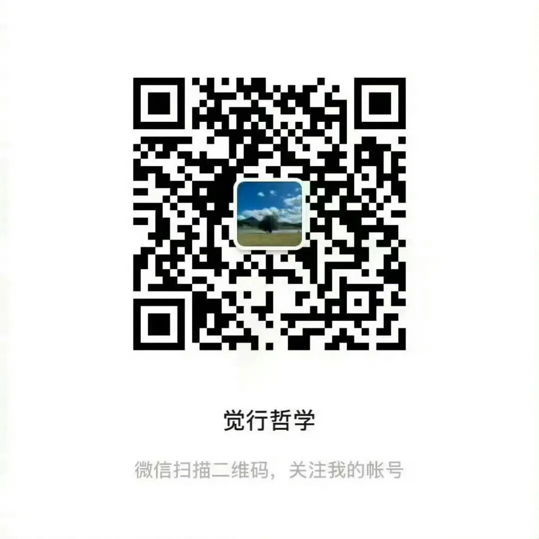 一套非常适合用来落地实践的哲学体系，《觉行哲学》微信公众号启航，欢迎大家关注。 