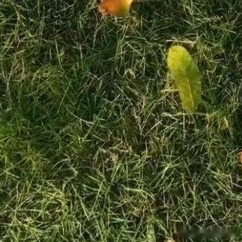 森林驿站阳光‬‬信用‬每日一善 厨房从不是烟火气的囚牢，是把平凡日子揉碎重捏的手