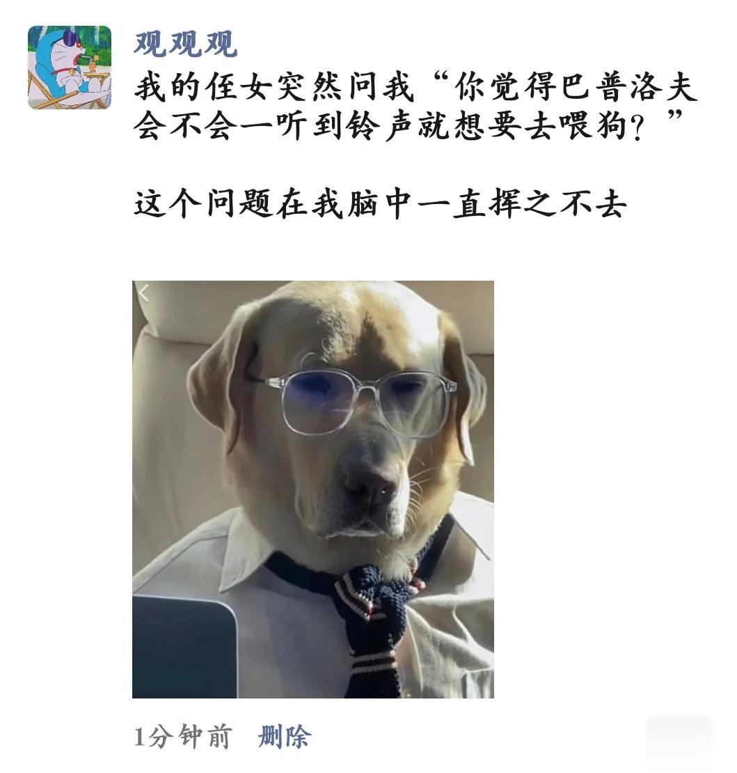 巴普洛夫？？？？？ ​​​