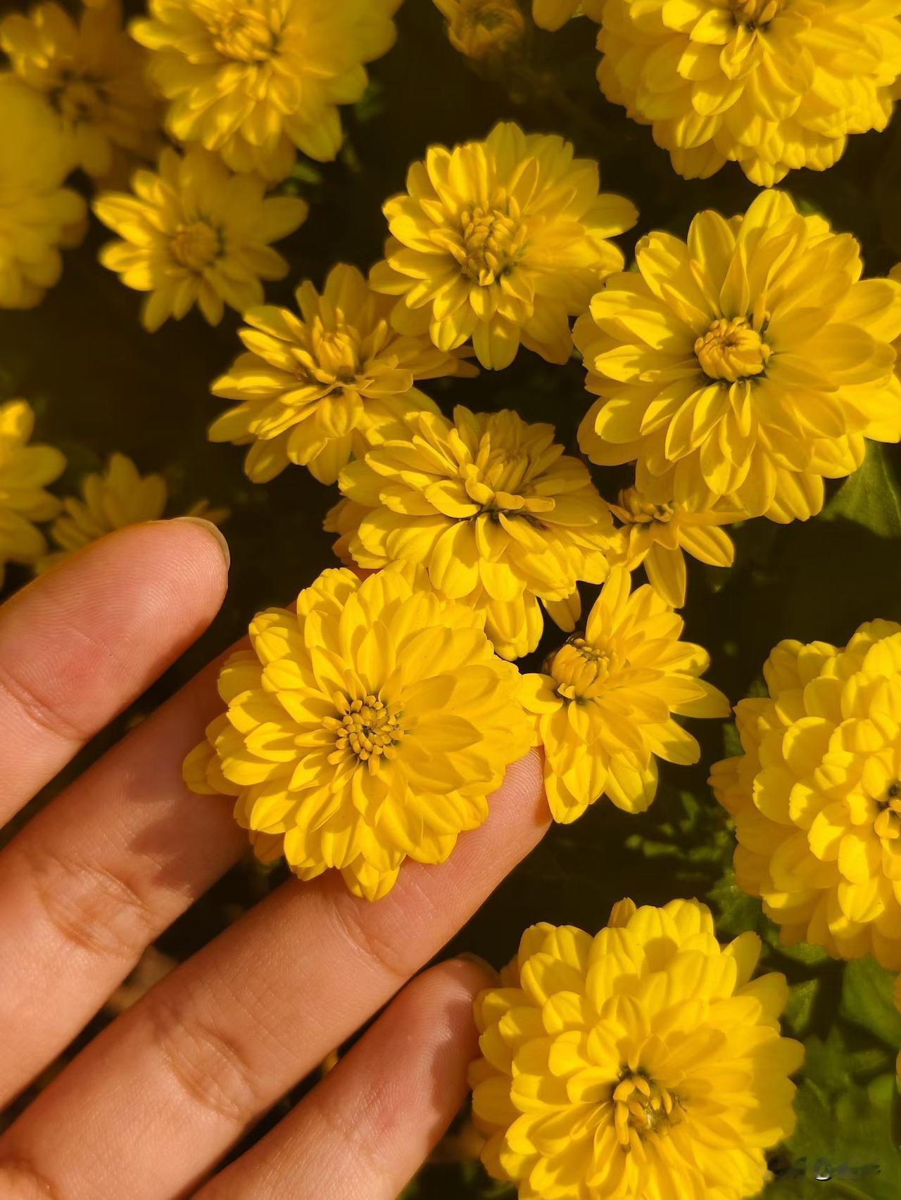 蝼蚁尚且偷生，怎么可能一句得失随缘就了？


生命本就珍贵，每个人也只有一次，怎