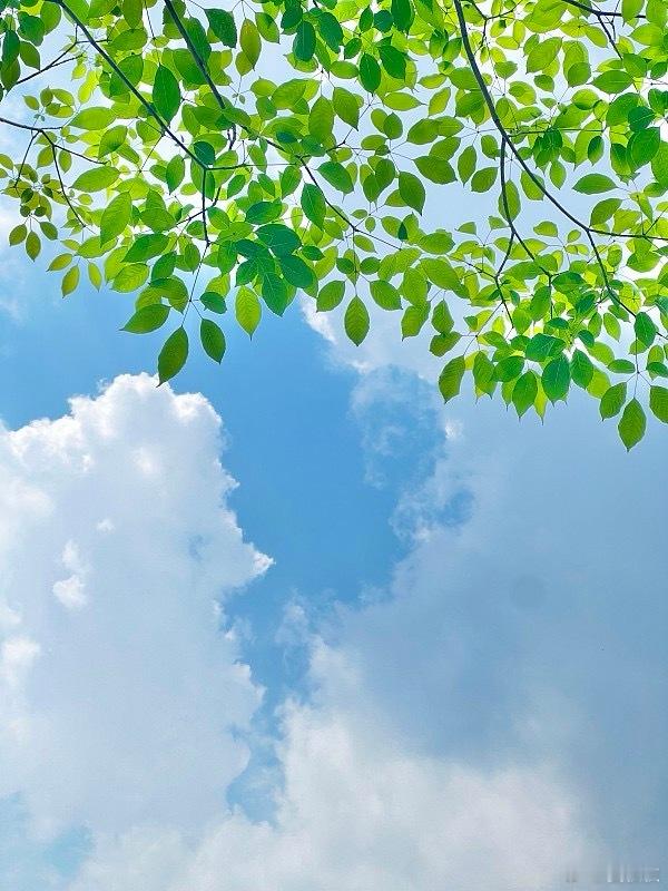 上海入夏？从今天（5月11日）起，上海开启入夏冲刺。而今天会不会成为上海今年的入