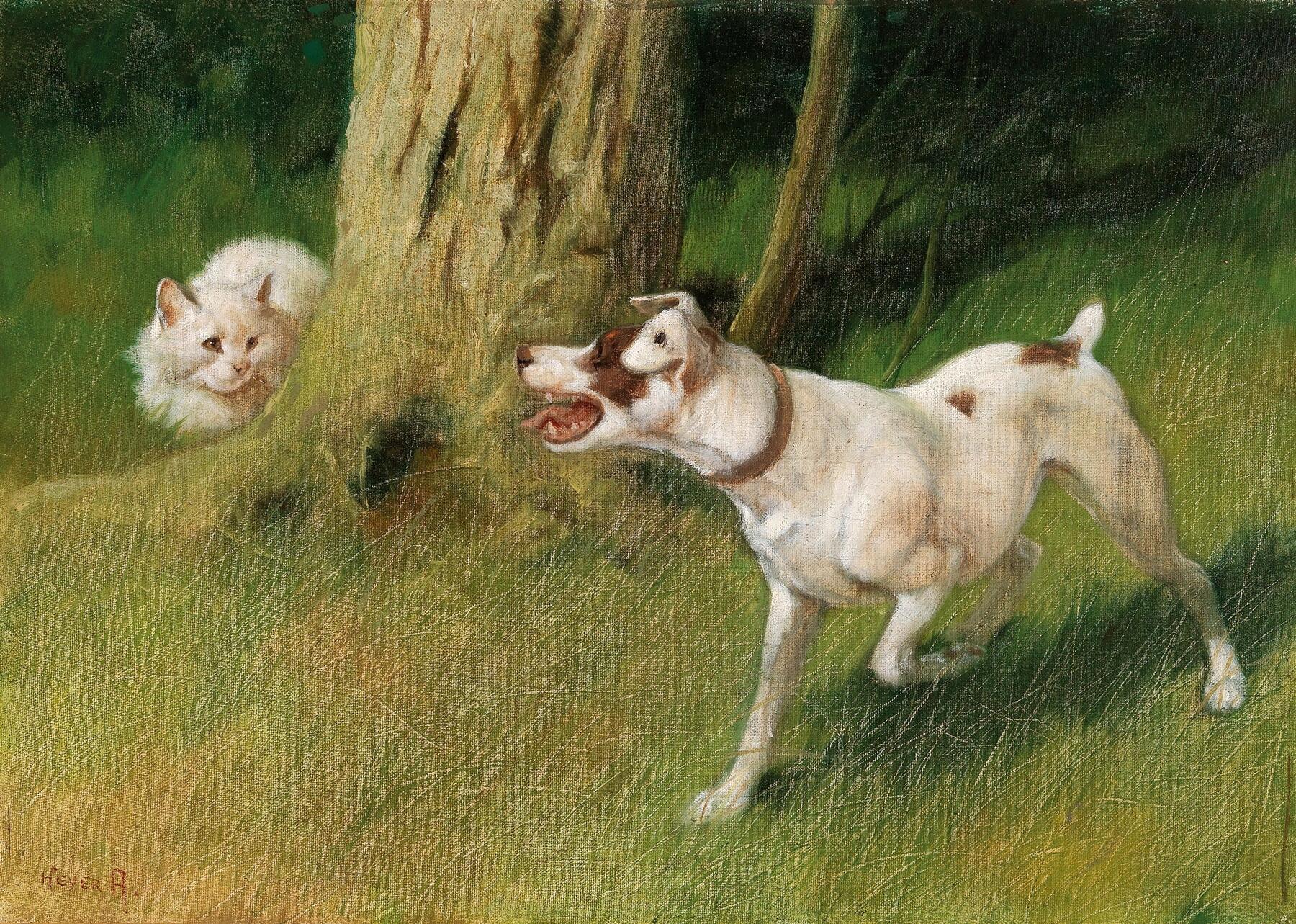 匈牙利艺术家Arthur Heyer (1872-1931)画的猫细腻捕捉猫咪们