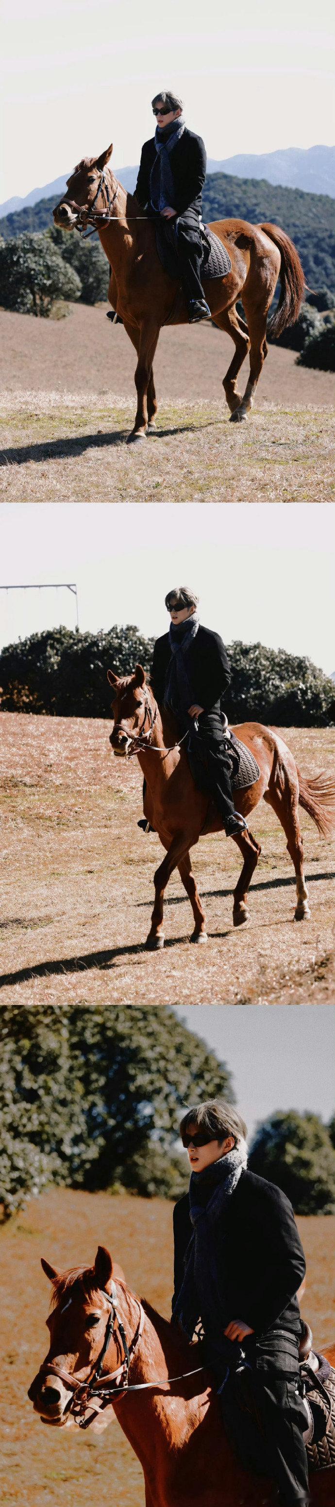 刘耀文羚羊王子被包围了刘耀文被自己包围了刘耀文晒骑马九宫格骑马的画面也太绝了！利