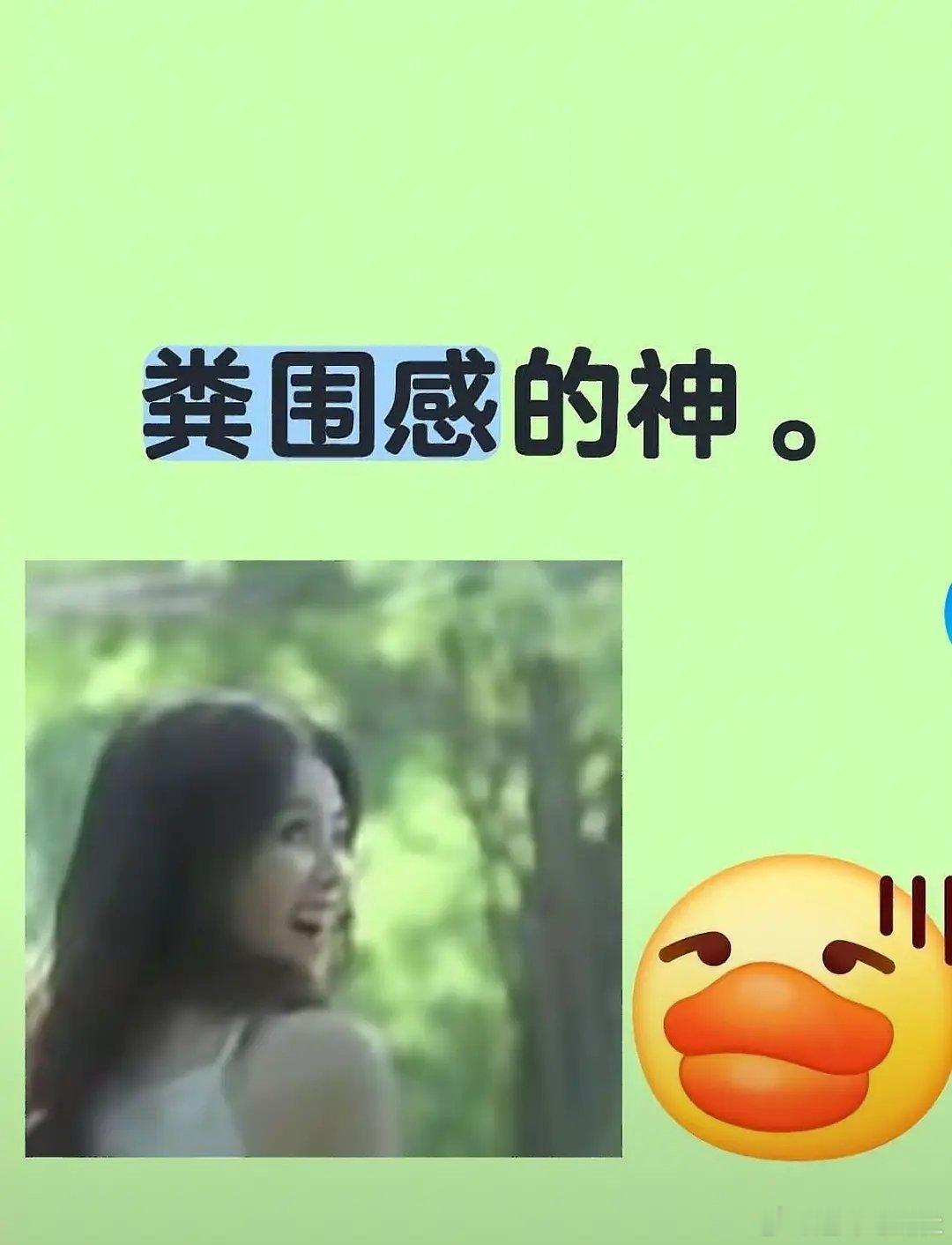 网友评论白鹿 粪围感的神 