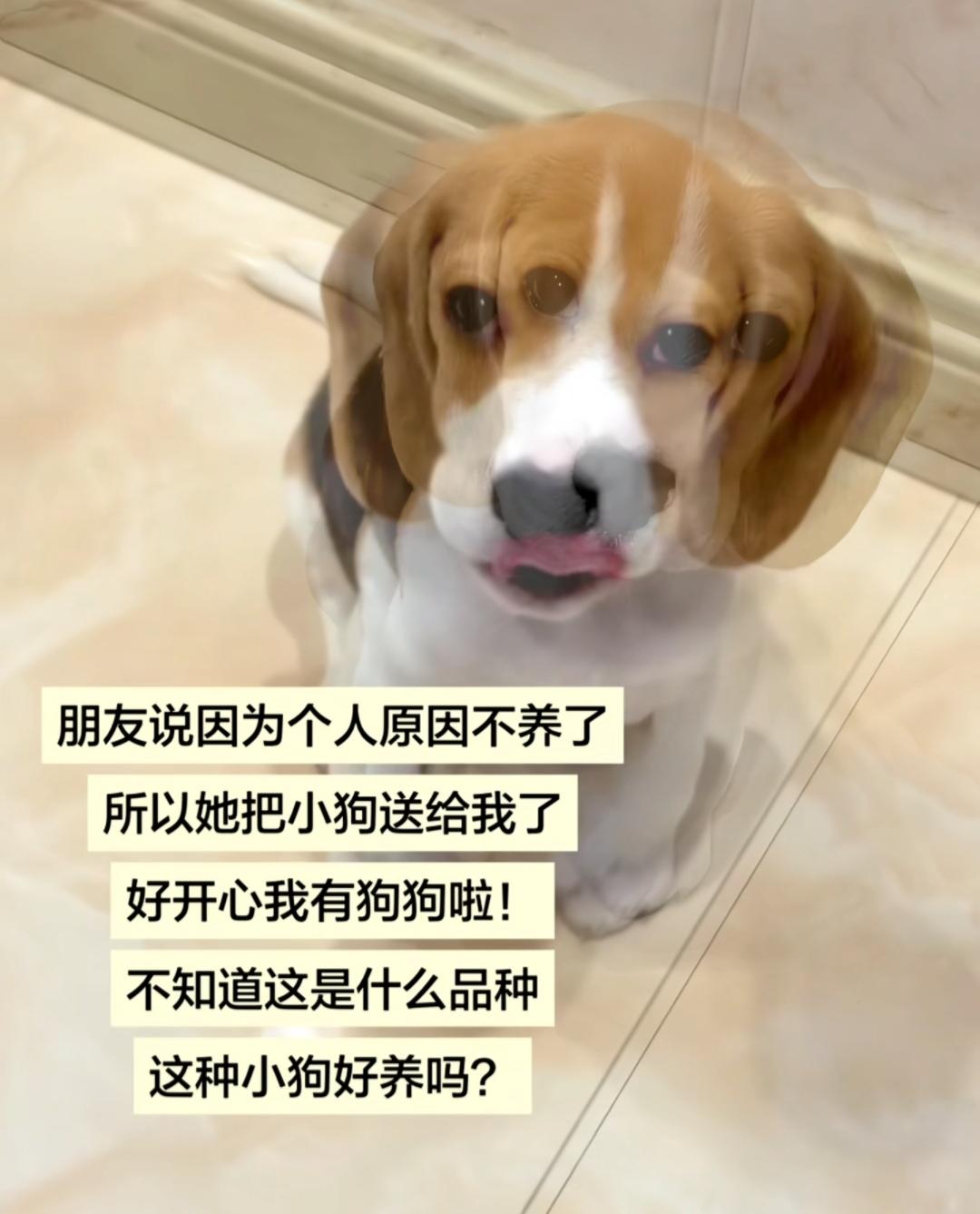 好养[灵光一闪][呆无辜]