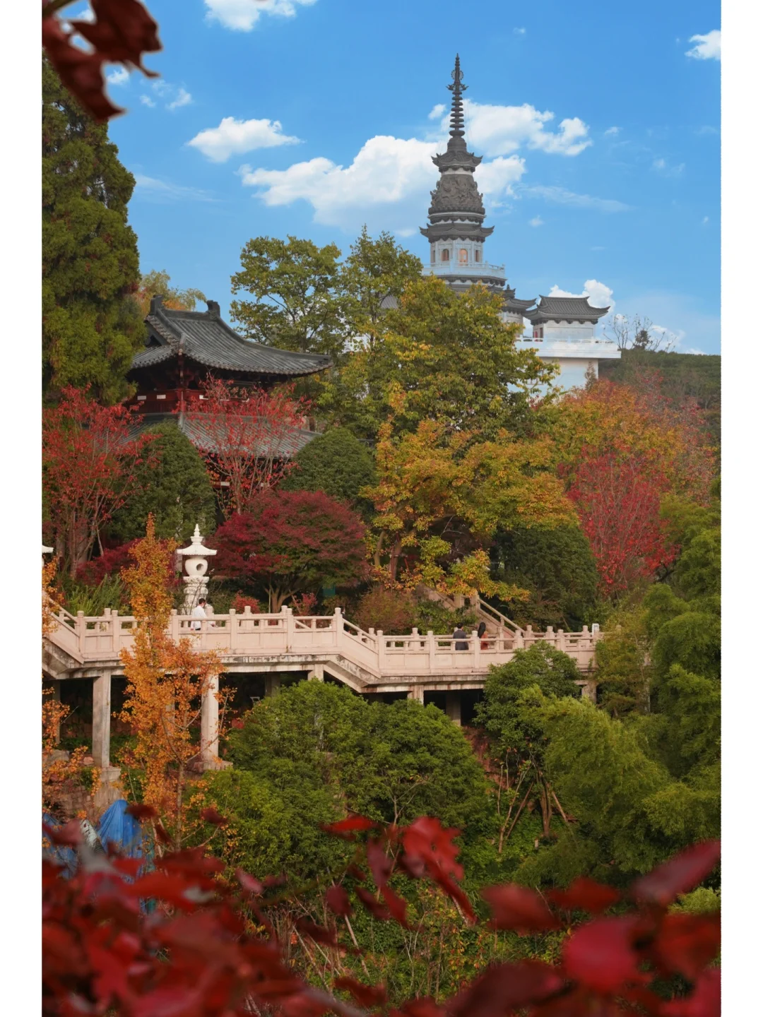 杭州本周最出片的地方‼️这里的红枫不输京都