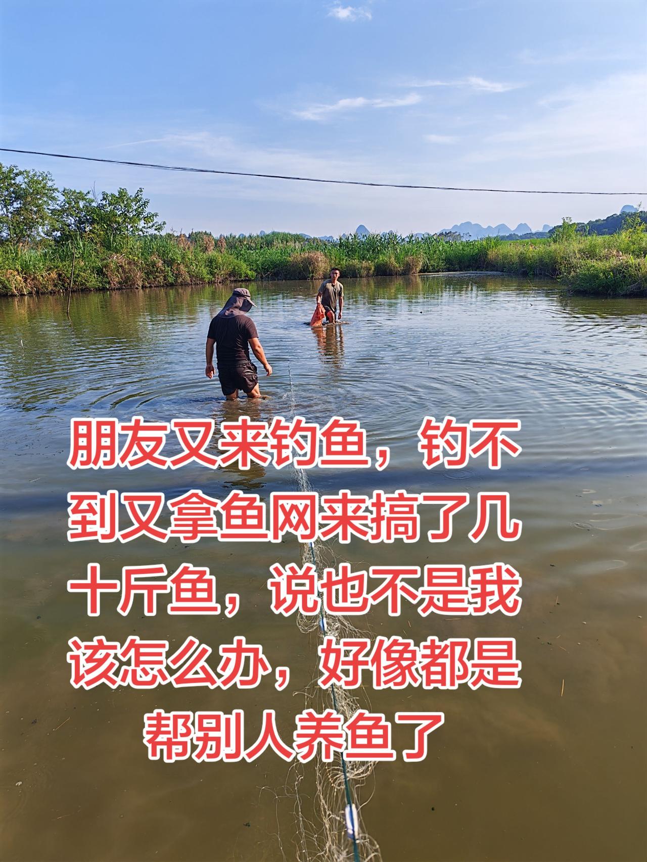 3这样的情况怎么办，太难了，说也不听养鱼日记 养鱼 农村生活 三农