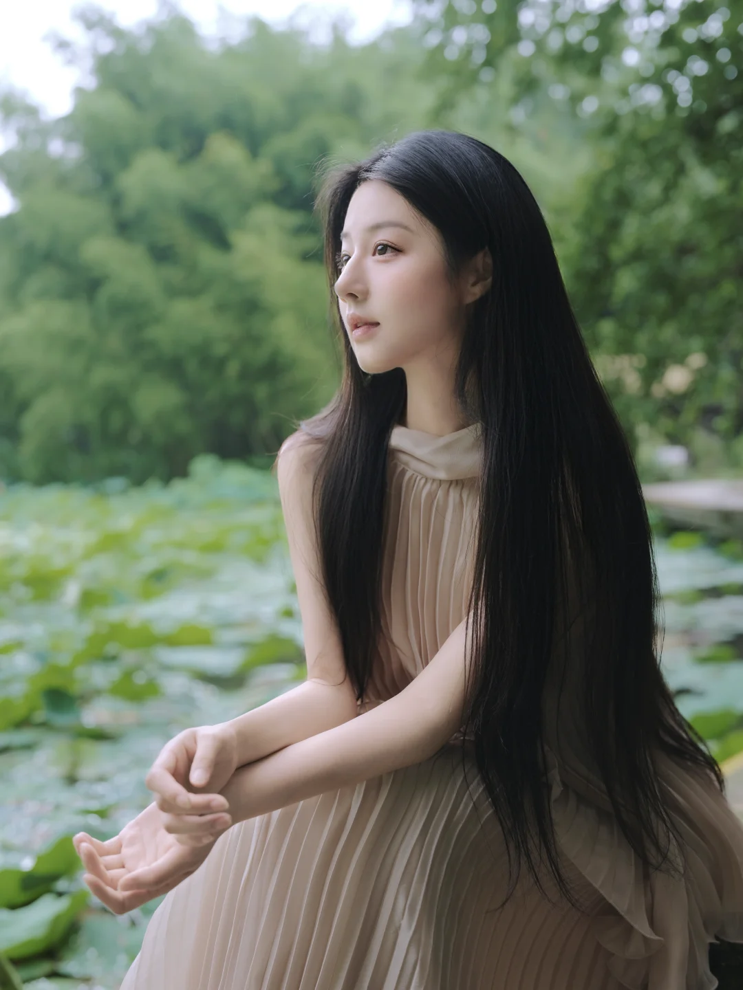 独爱莲
