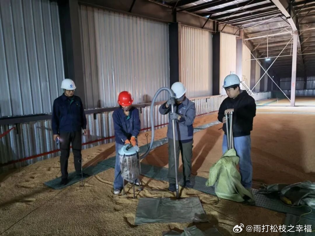 黑龙江网事万千气象看龙江 盛夏高温阶段储粮管控迎来关键时期，迎春林业局下属粮食储