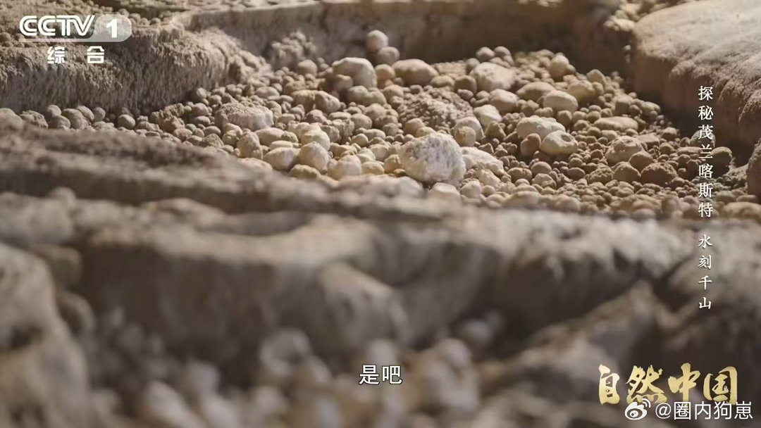 自然中国你见过石头开出的花吗洞穴珍珠的诞生比任何童话都安静——水溶出小盆，矿物层