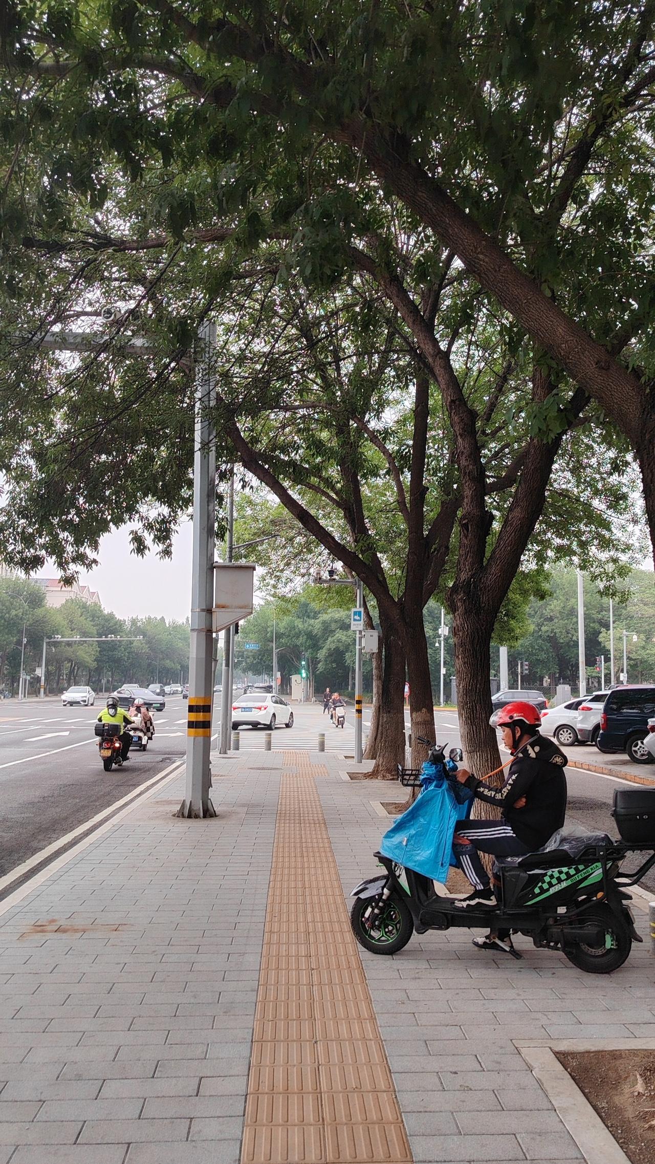 历尽千帆，归来仍是少年

真正的成熟，是学会了与自己相处，与孤独和解。在独处的时