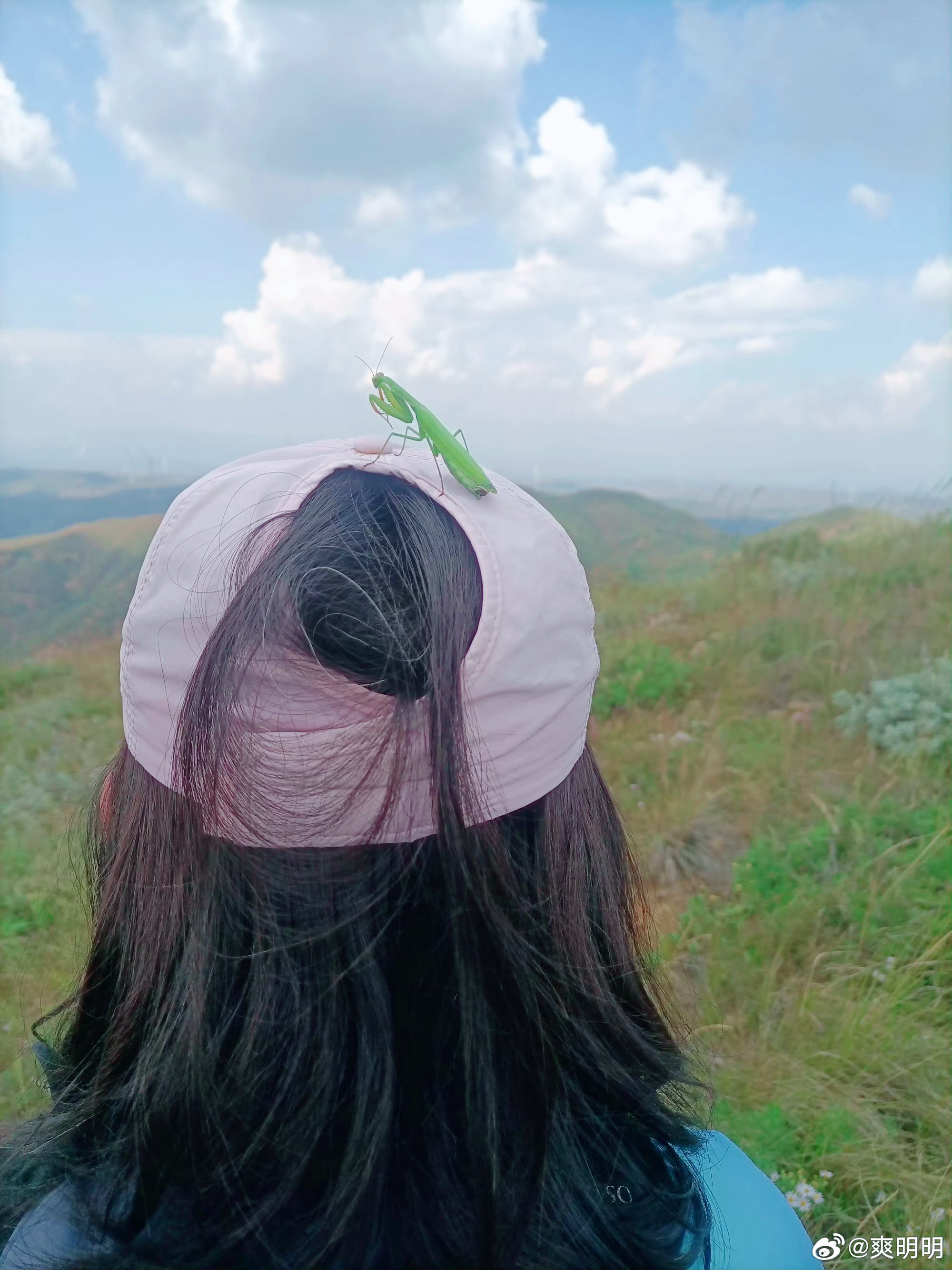 经典回眸0011云天漫过长城脊，风卷草香入袖来。行至半山，一只螳螂轻轻落上帽檐，