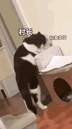 生动形象，哪个那么有才，我算服了！