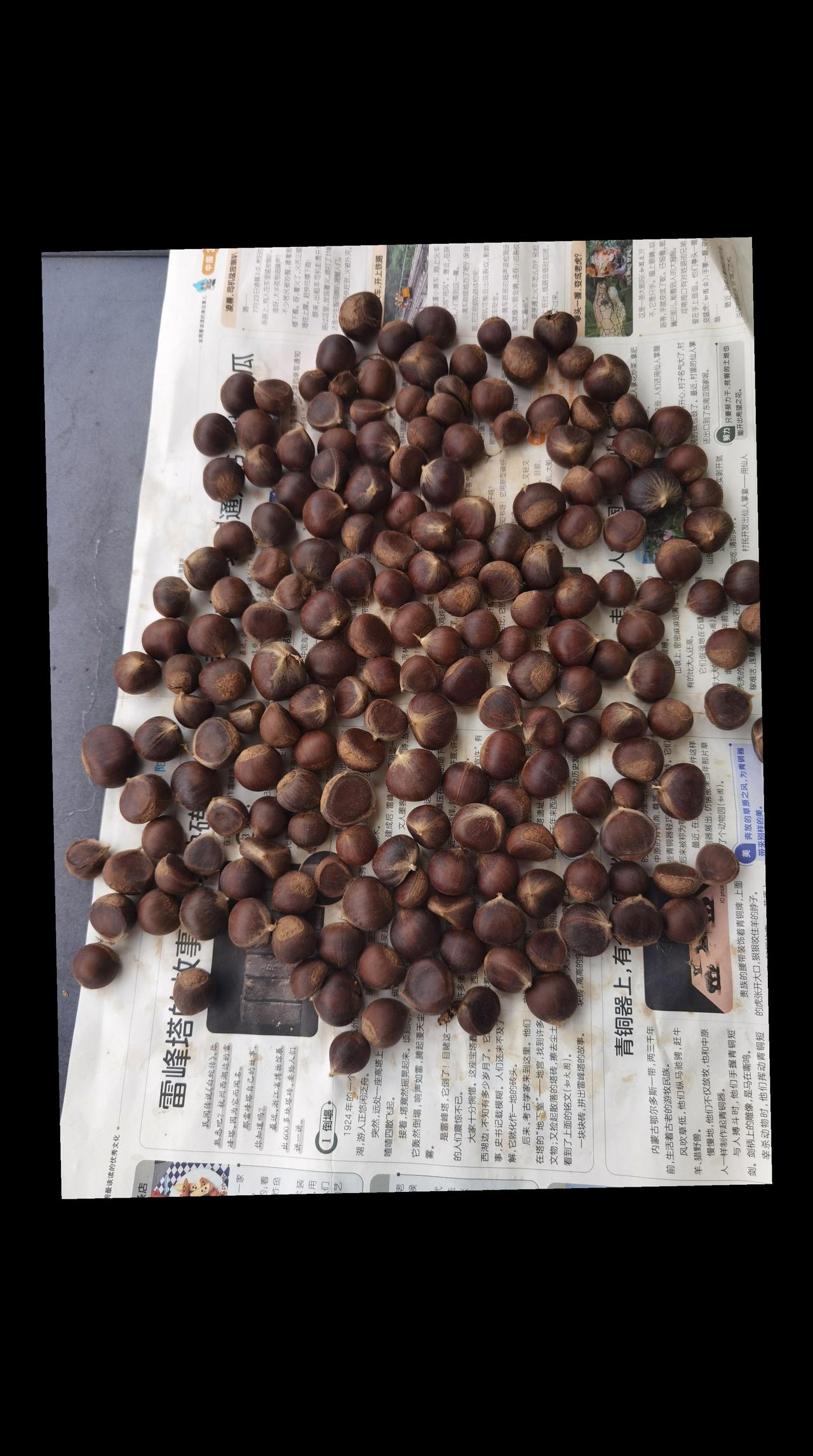 去年老家带来的土板栗，拿来煮什么好呢？