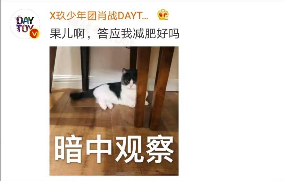 喜欢“果儿”这个称呼[偷笑] ​​​