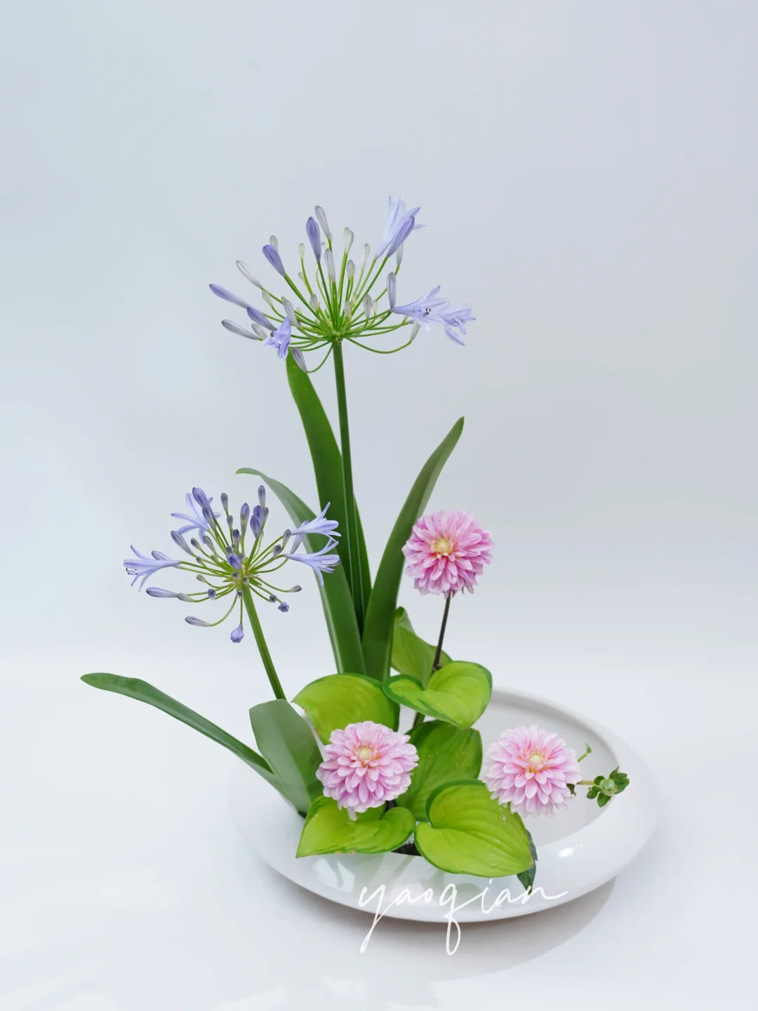爱情花百子莲的插花