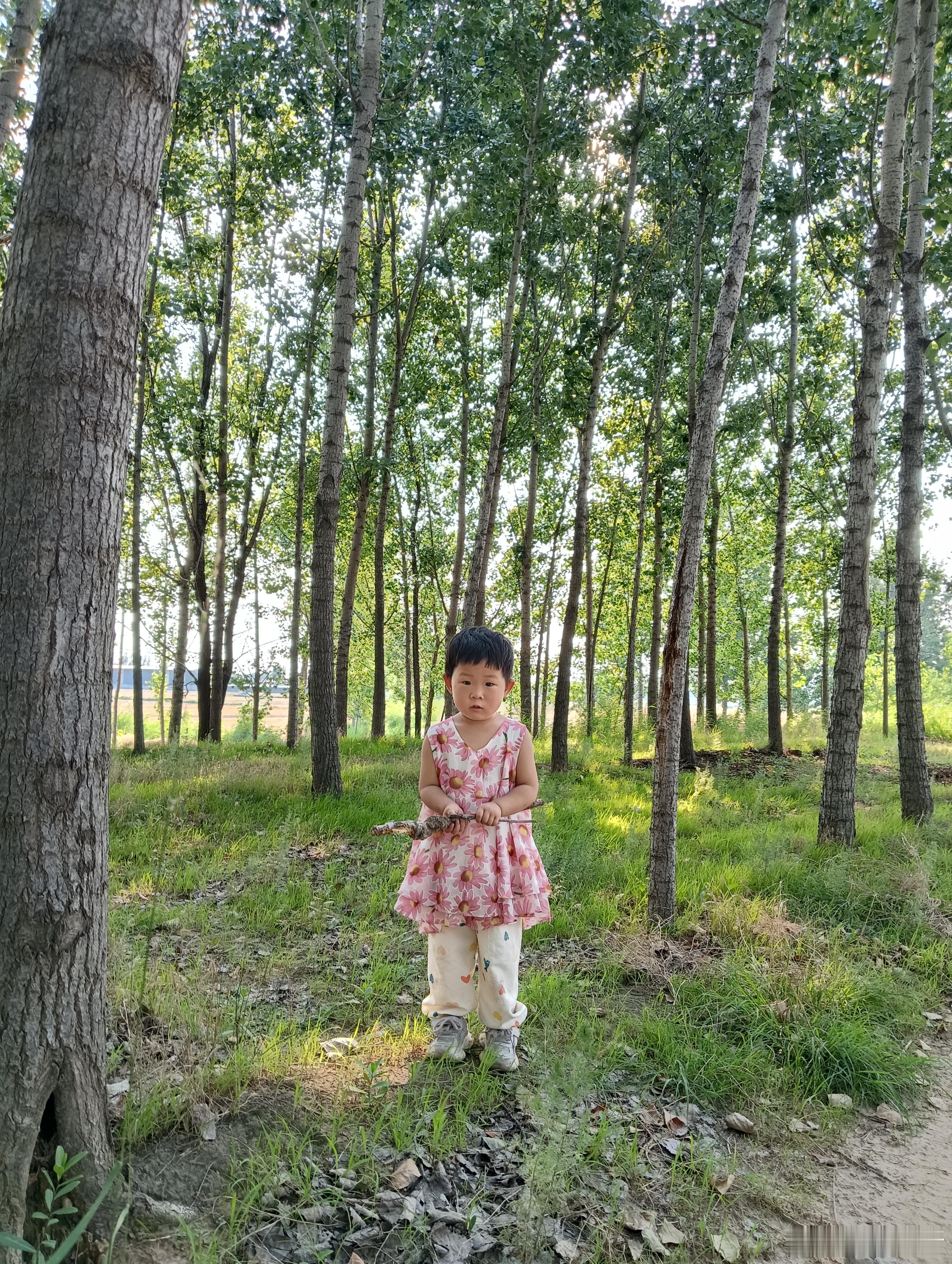 今天的小插曲:中午小圆困了想睡觉，我想去厕所，她不让我去，我还是去了，她躺地上滚