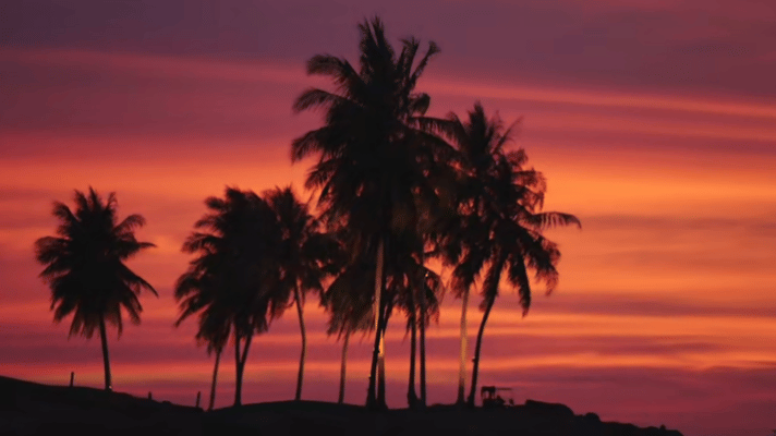 环游世界的综艺来了原来旅行综艺可以这么有电影感慢综天花板！三人组用最少预算环游世