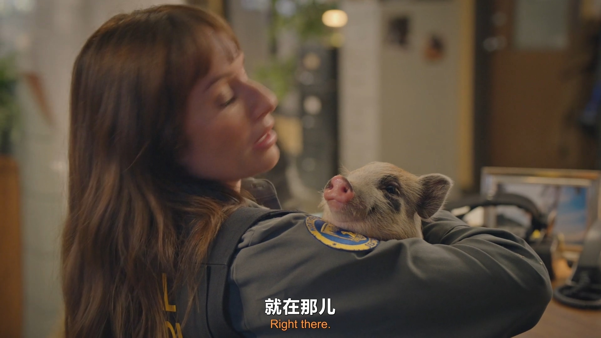 《动物管制官》Animal Control第五季回归，双语译制更新第三集动物管制