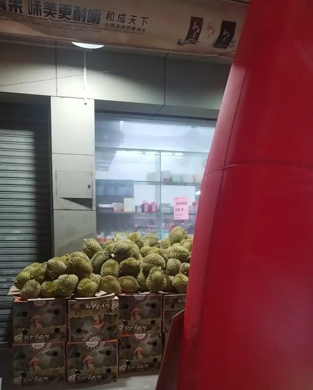 一个在学校常年考前三名的尖子生，一夜之间沦为流水线上的打工妹，这中间只隔了一个离