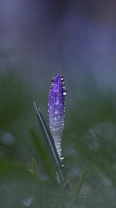 既然无处可逃，不如欣然接纳；既然没有净土，不如静心沉淀；既然未能如愿，不如坦然面