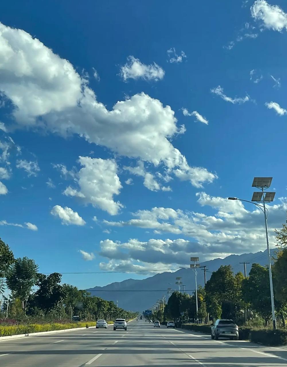 新年生活，就像一幅丰富多彩的图鉴。在山东，有一家叫“新年生活图鉴”的餐馆，里面各