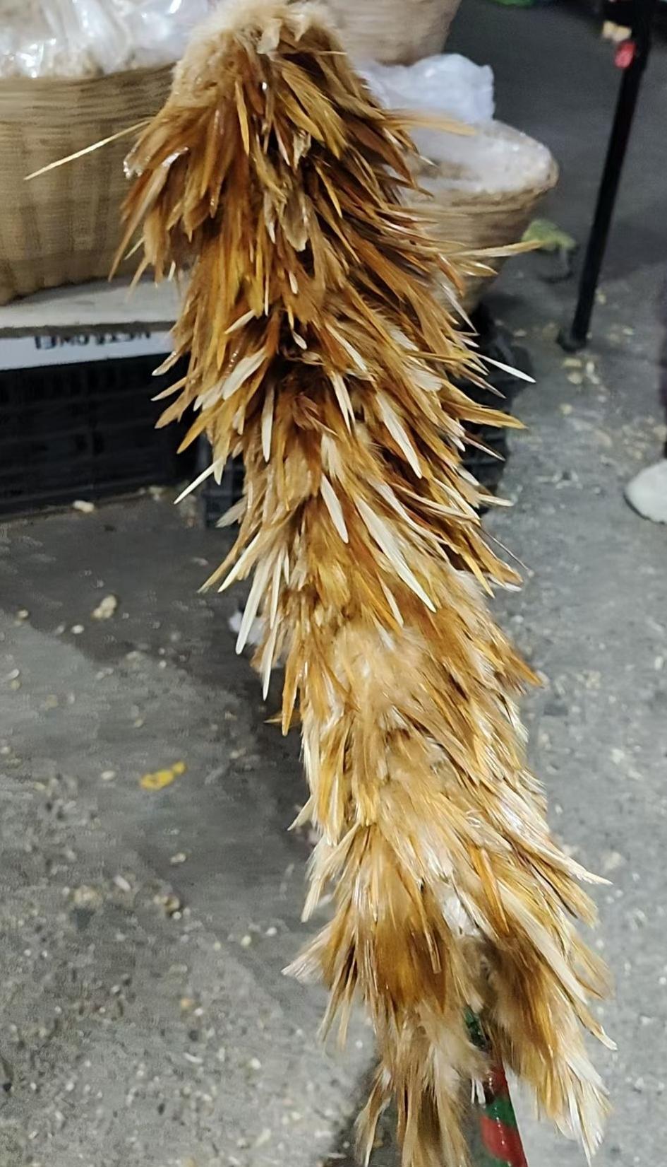 小时候，“打娃神器”可真是童年阴影。农村孩子估计都记得老妈的小竹条，像竹叶尾扎成