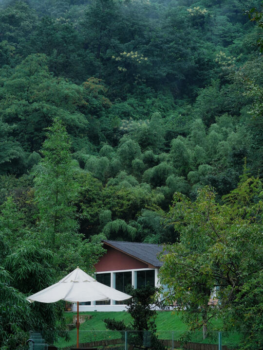 🔥《逃离成都高温，都江堰22℃避暑攻略》