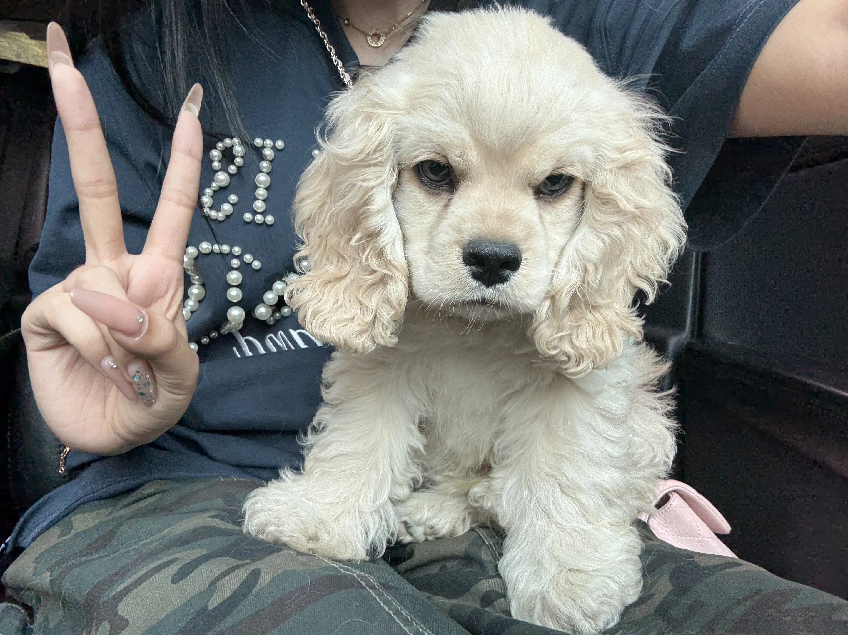 就这样看着你。