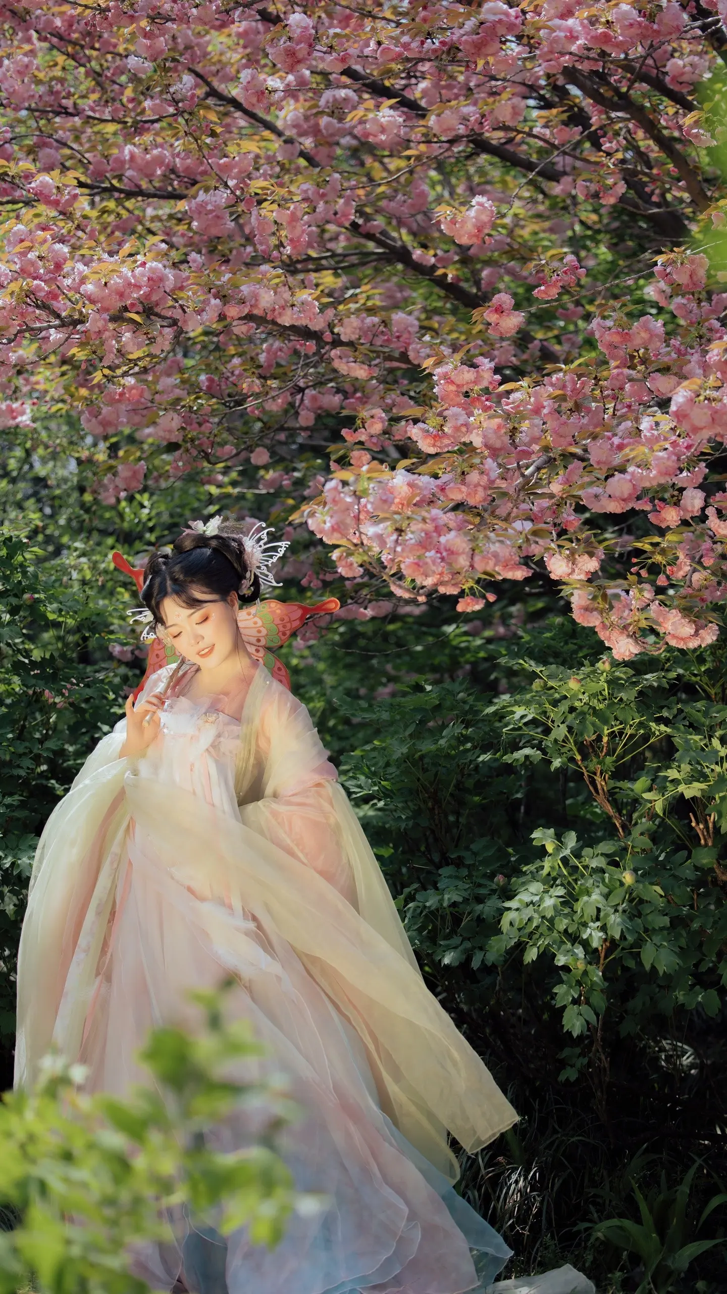 拍到楚雨荨啦！