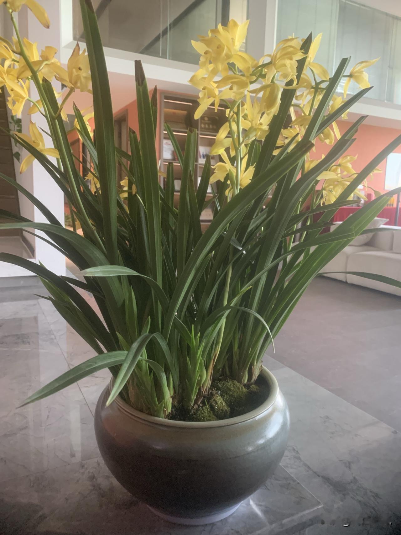 不因无人而不芳，自有清风识得香。