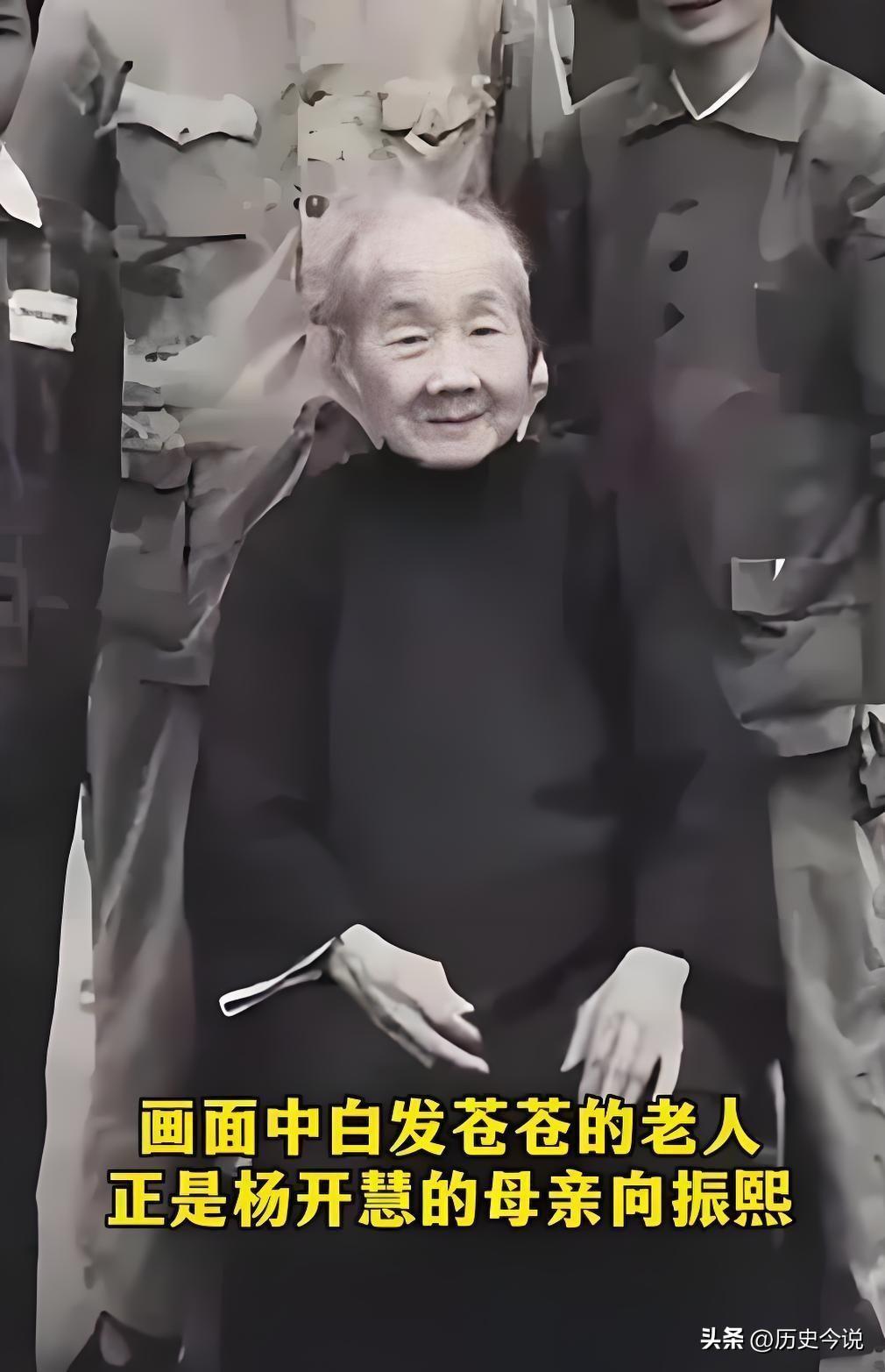 1949年长沙板仓，向振熙老人跪地痛哭：一场迟到二十年的无声祭奠
 
阅读此文前