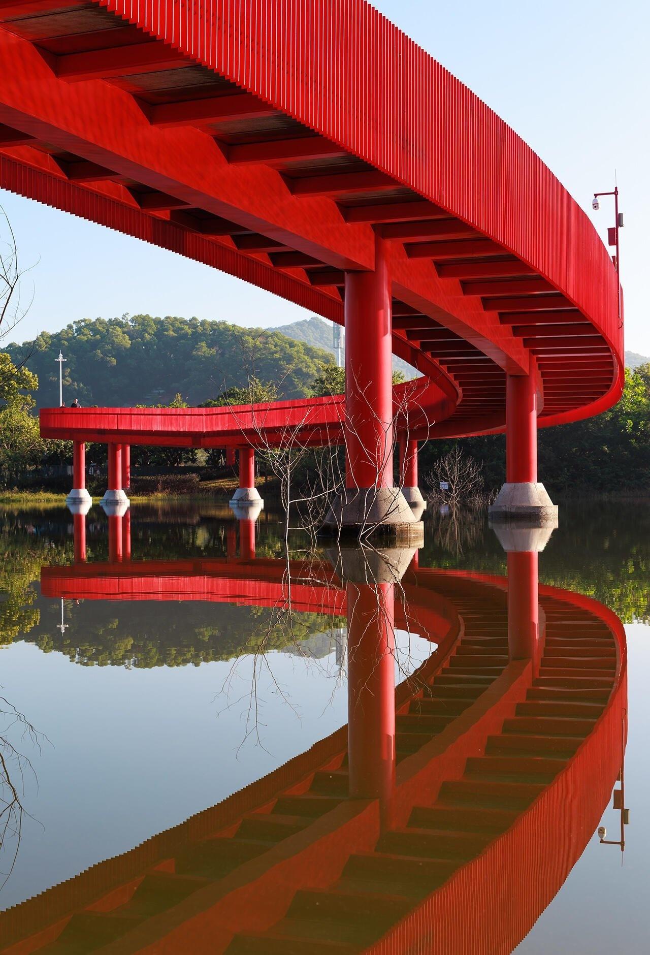 早起奔赴虹桥公园，竟遇见了深圳最诗意的晨间镜
📍深圳 虹桥公园
早起奔赴虹桥公